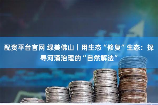 配资平台官网 绿美佛山丨用生态“修复”生态：探寻河涌治理的“自然解法”