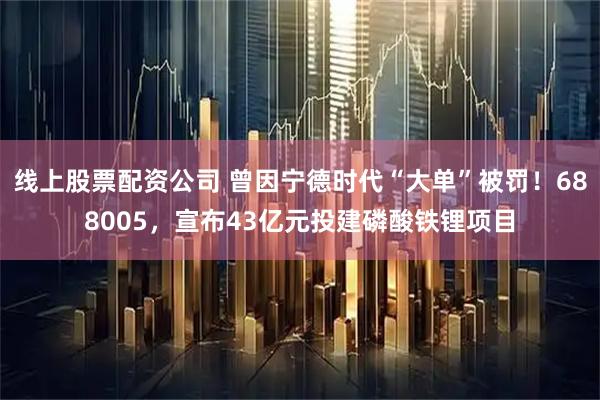 线上股票配资公司 曾因宁德时代“大单”被罚！688005，宣布43亿元投建磷酸铁锂项目