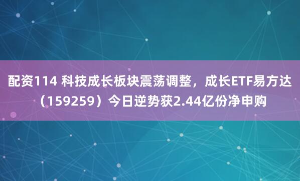 配资114 科技成长板块震荡调整，成长ETF易方达（159259）今日逆势获2.44亿份净申购